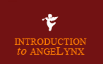 Introduction to angeLynx